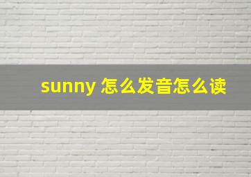 sunny 怎么发音怎么读